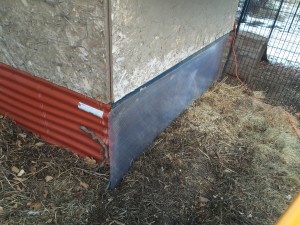 Polycarbonate panel on chicken coop for solar heat gain