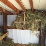 Hay rack for cows